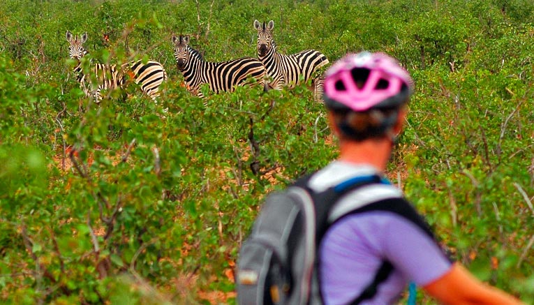 Msai-south-africa-multisport-6